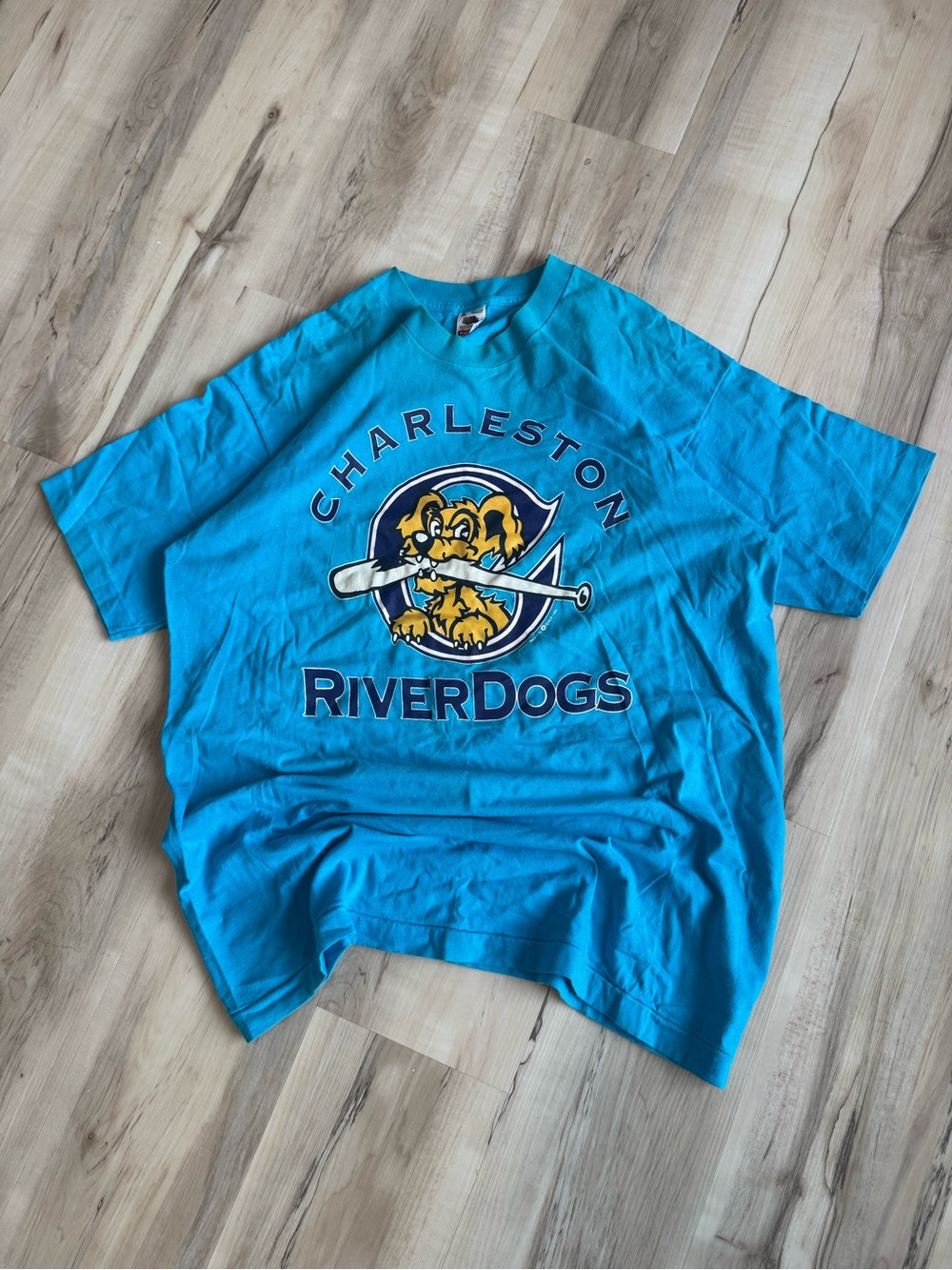 Vintage 1994 Single Stitch MLB Charleston RiverDogs Logo Tee XL Blue USA Made